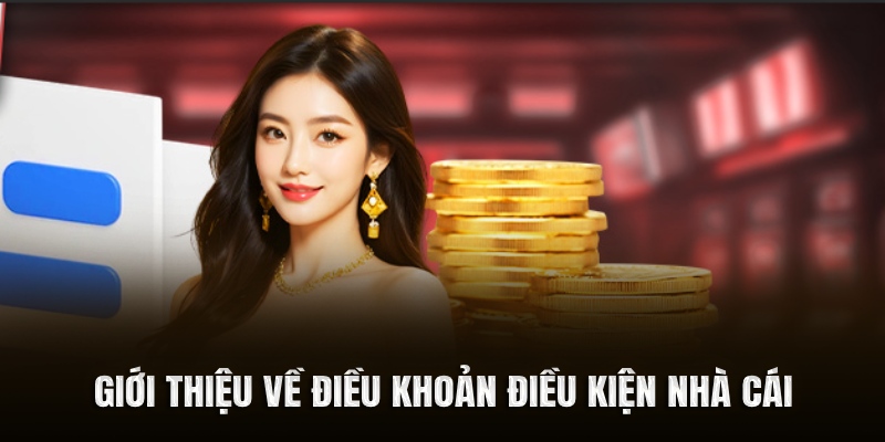 Giới thiệu về điều khoản điều kiện nhà cái
